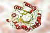 An image showing the ribbon representation of LFCA_EG rotated 90°